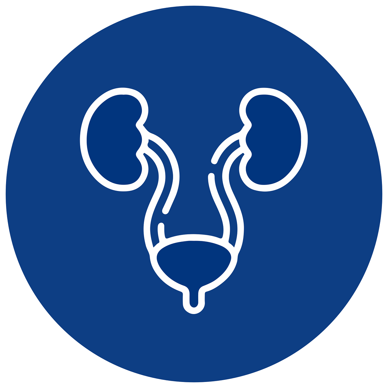 urology, icon, kidneys-7467570.jpg